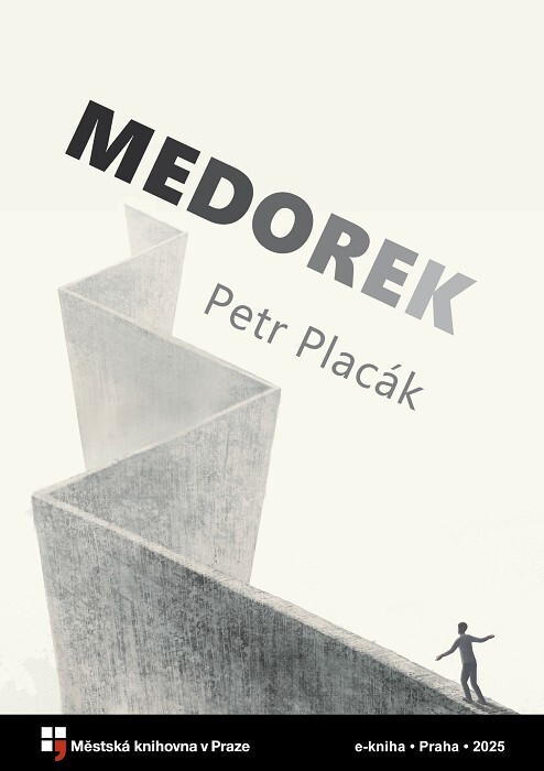 Medorek :(anonymní román)