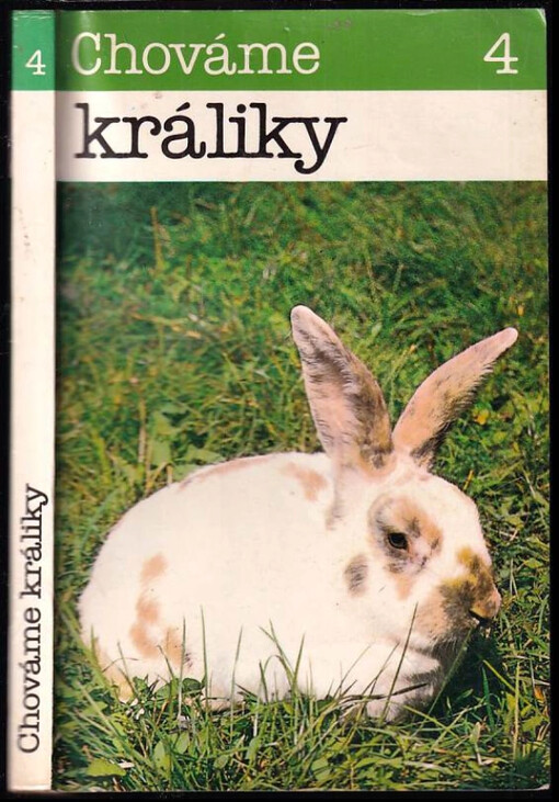 Chováme králiky