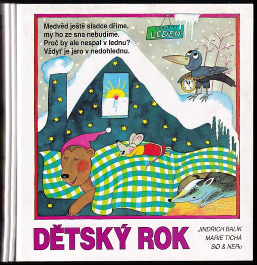 Dětský rok