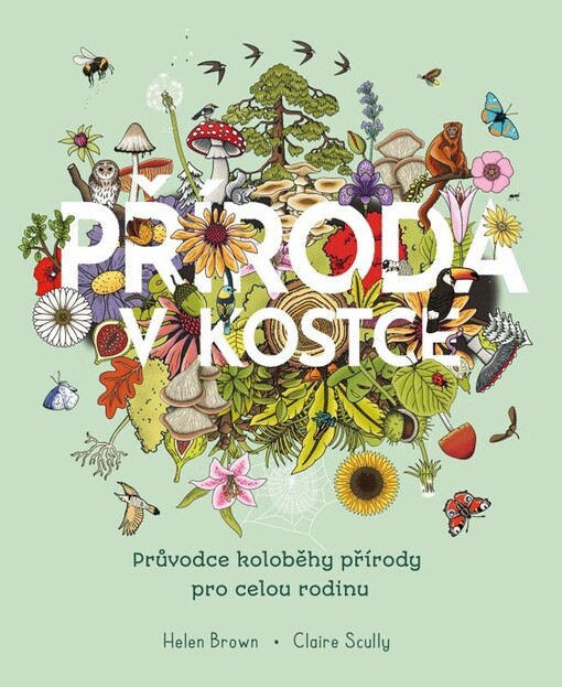 Příroda v kostce : průvodce koloběhy přírody pro celou rodinu