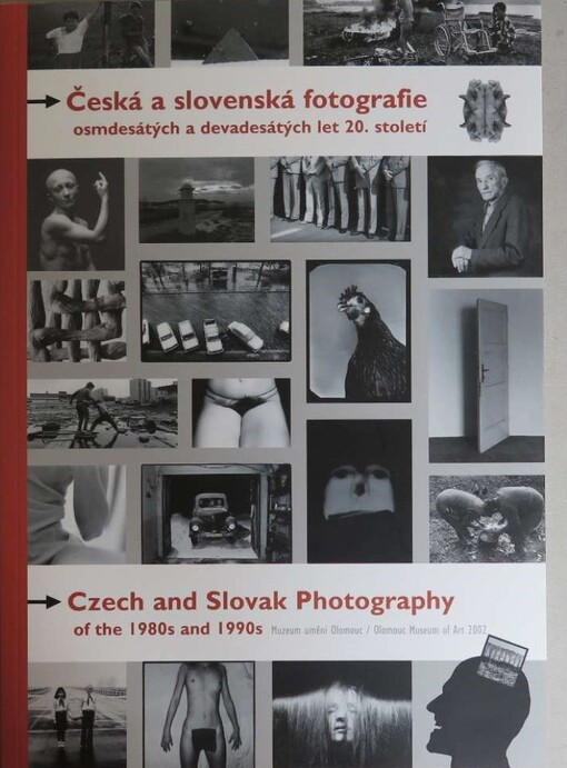 Česká a slovenská fotografie osmdesátých a devadesátých let 20. století