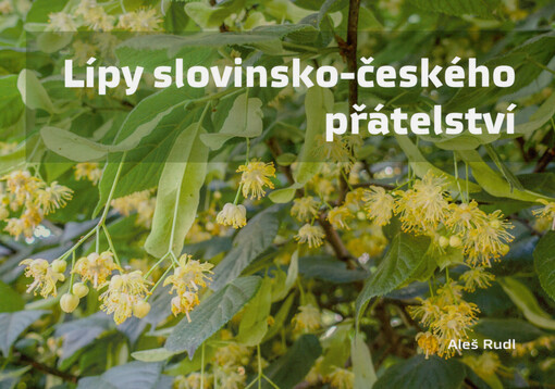 Lípy slovinsko-českého přátelství