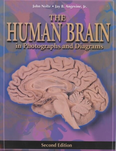 The human brain in photographs and diagrams