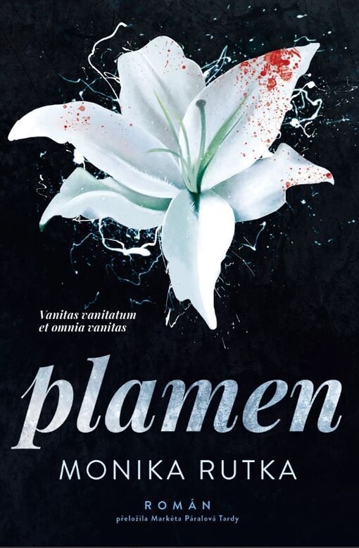 Plamen