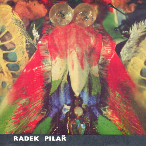 Radek Pilař : kresbou, barvou, kamerou