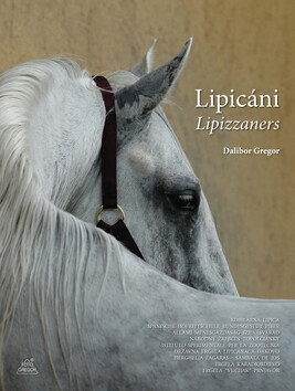 Lipicáni =Lipizzaners