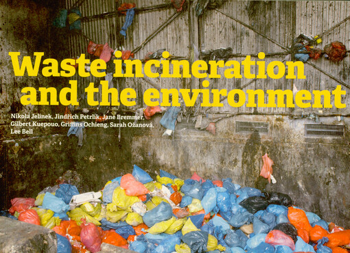 Waste incineration and the environment