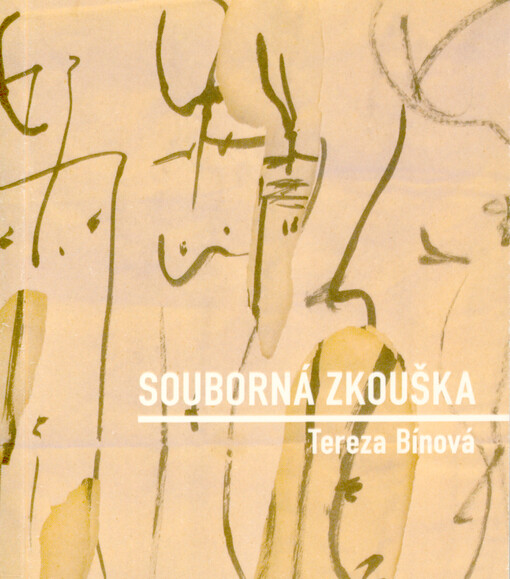 Souborná zkouška