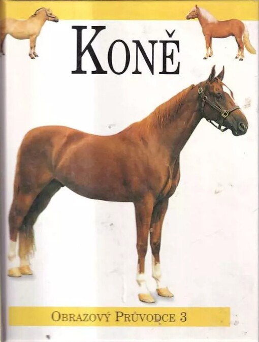 Koně