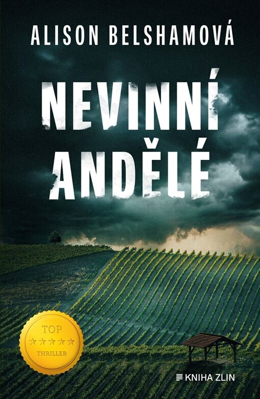 Nevinní andělé / Alison Belshamová ; přeložil Matouš Hájek