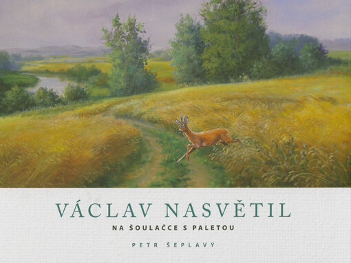 Václav Nasvětil : na šoulačce s paletou