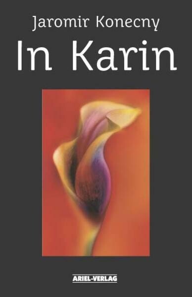 In Karin :Roman eines Geschlechterkampfes