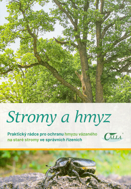 Stromy a hmyz : praktický rádce pro ochranu hmyzu vázaného na staré stromy ve správních řízeních