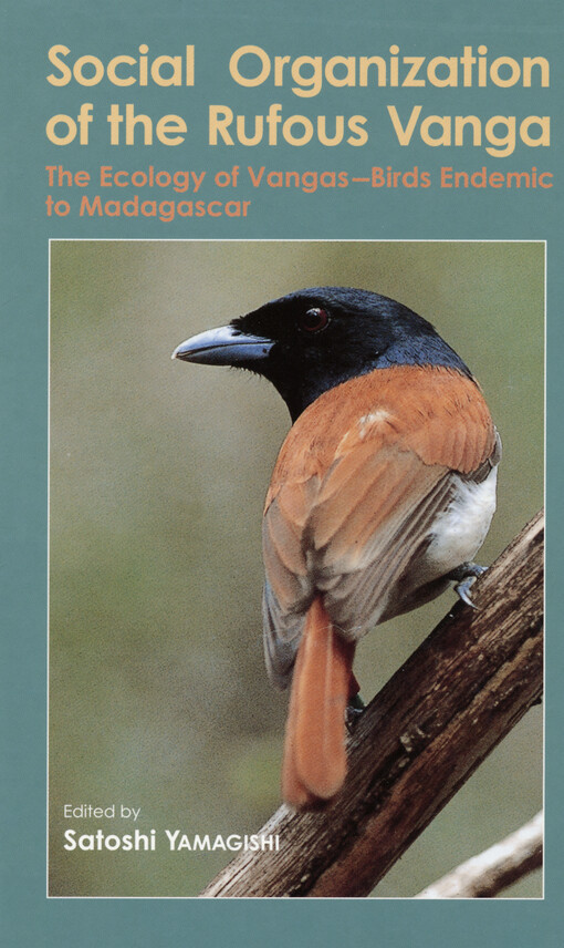 Social organization of the Rufous vanga : the ecology of vangas-birds endemic to Madagascar