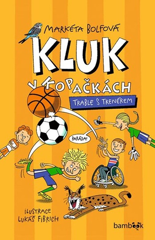 Kluk v kopačkách. Trable s trenérem / Markéta Bolfová ; ilustrace Lukáš Fibrich