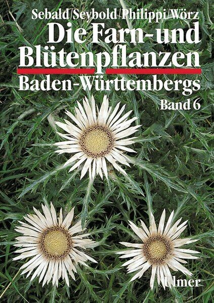 Die Farn- und Blütenpflanzen Baden-Württembergs, 8 Bde., Bd.6, Spezieller Teil (Spermatophyta, Unterklasse Asteridae)