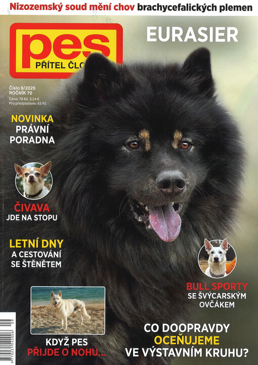 Pes přítel člověka : časopis pro chov a výcvik psů všech plemen