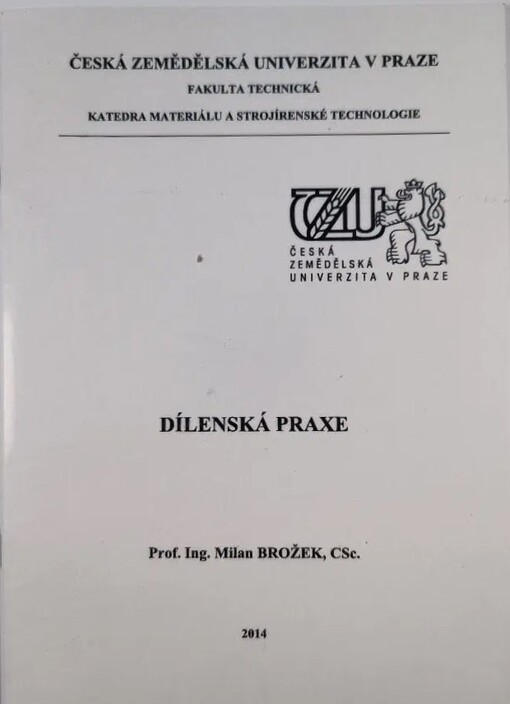 Dílenská praxe