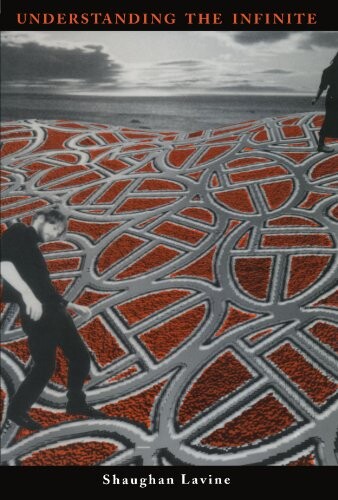 Understanding the Infinite