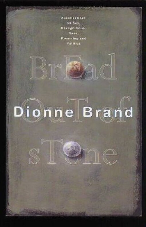 Bread out of stone :[recollections on sex, recognitions, race, dreaming and politics]