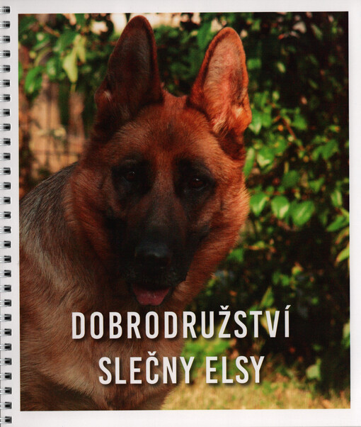 Dobrodružství slečny Elsy