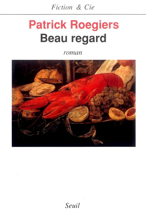 Beau regard: Roman (Fiction & Cie) (French Edition)