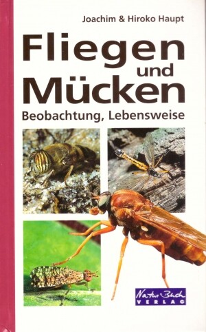 Fliegen und Mücken :Beobachtung-Lebensweise