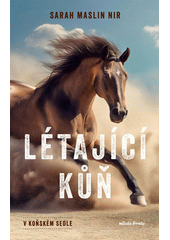 V koňském sedle. Létající kůň  (odkaz v elektronickém katalogu)
