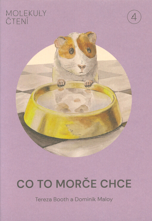 Co to morče chce