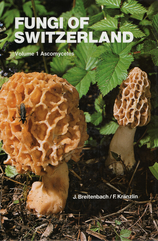 Fungi of Switzerland : a contribution to the knowledge of the fungal flora of Switzerland. Volume 1, Ascomycetes
