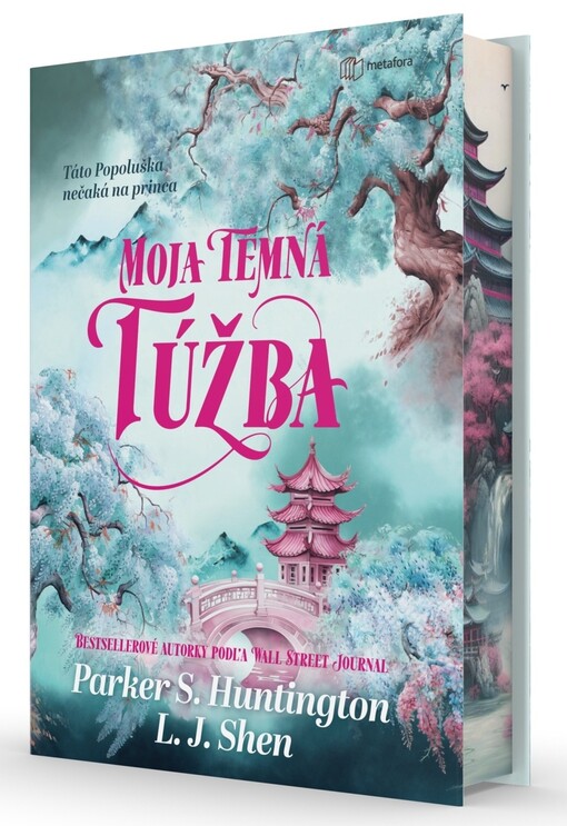 Moja temná túžba