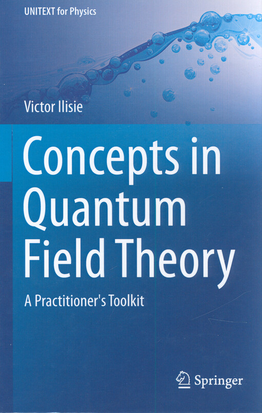 Concepts in quantum field theory : a practitioner's toolkit