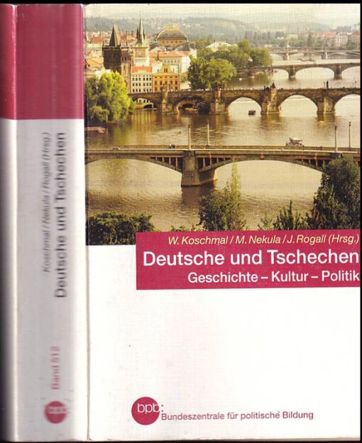 Deutsche und Tschechen : Geschichte - Kultur - Politik