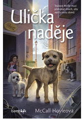 Ulička naděje  (odkaz v elektronickém katalogu)