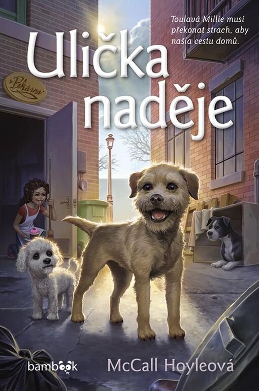 Ulička naděje / McCall Hoyleová ; překlad Eva Kadlecová