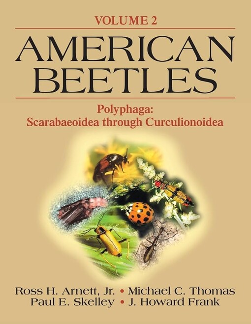 American beetles