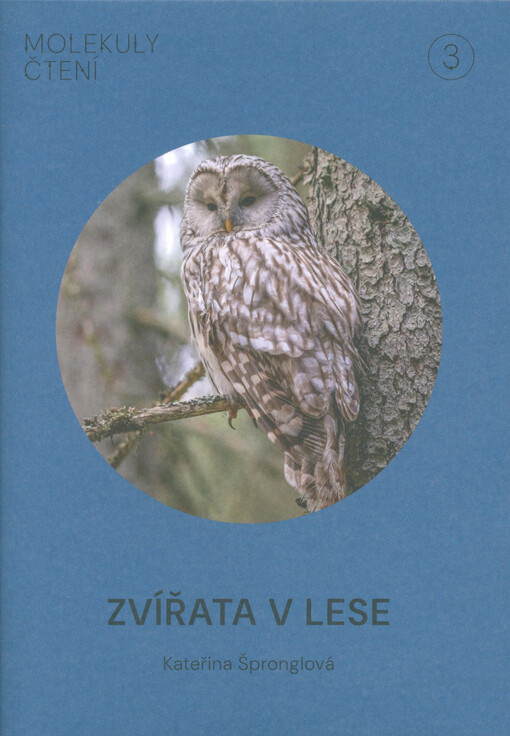 Zvířata v lese