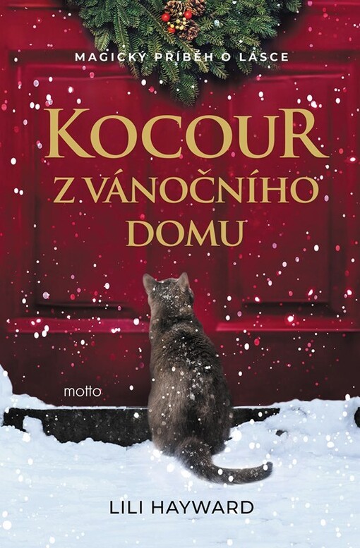 Kocour z vánočního domu / Lili Hayward ; přeložila Marcela Nejedlá