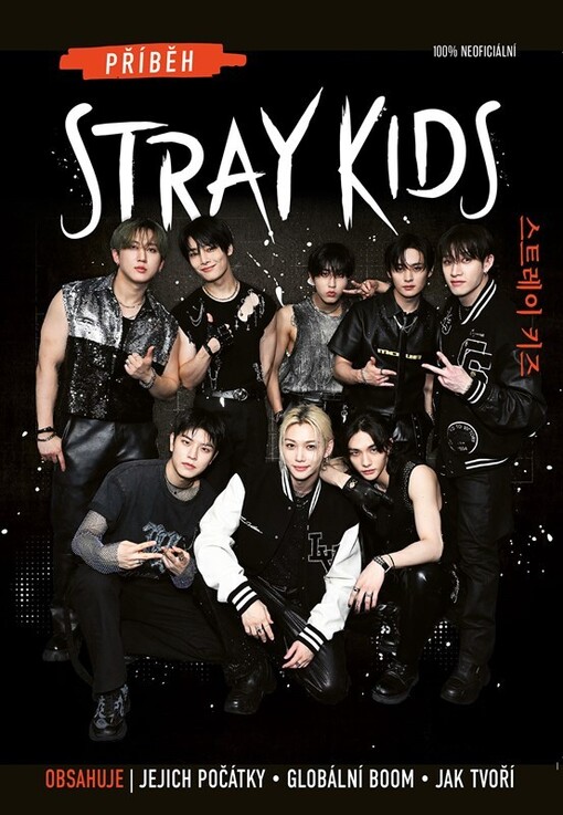 Příběh Stray Kids : 100% neoficiální