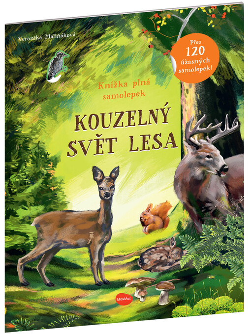 Kouzelný svět lesa