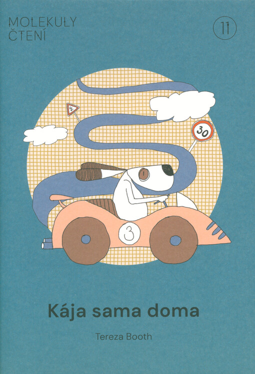 Kája sama doma