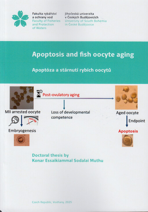 Apoptosis and fish oocyte aging = Apoptóza a stárnutí rybích oocytů