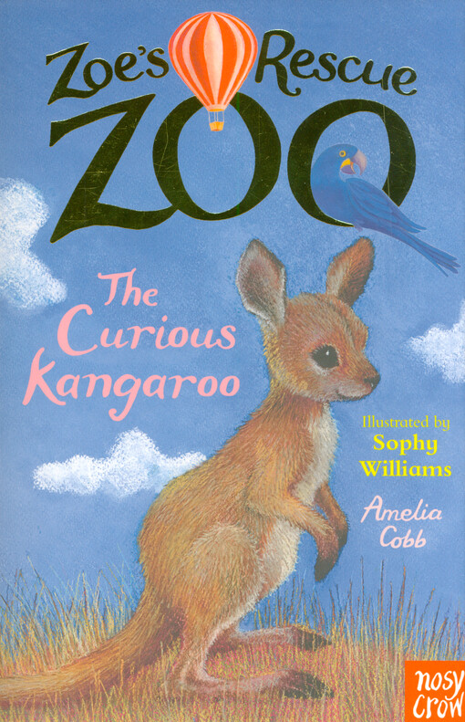 The curious kangaroo