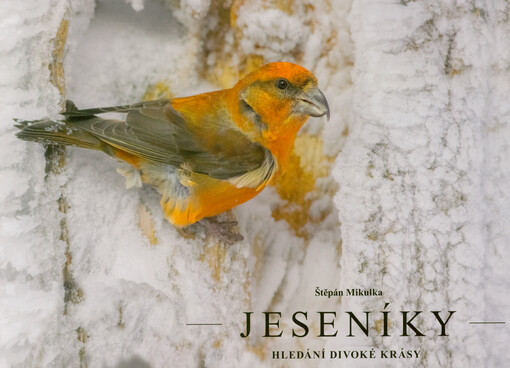 Jeseníky : hledání divoké krásy