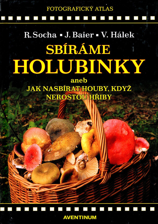 Sbíráme holubinky, aneb, Jak nasbírat houby, když nerostou hřiby