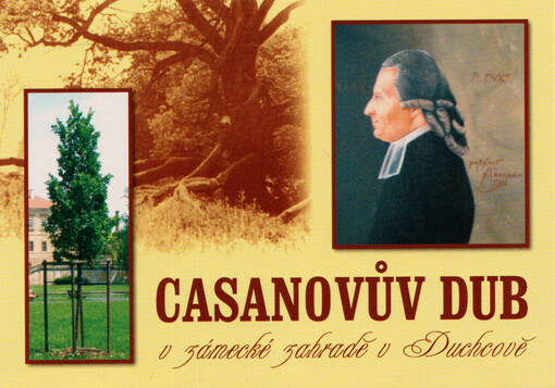 Casanovův dub v zámecké zahradě v Duchcově
