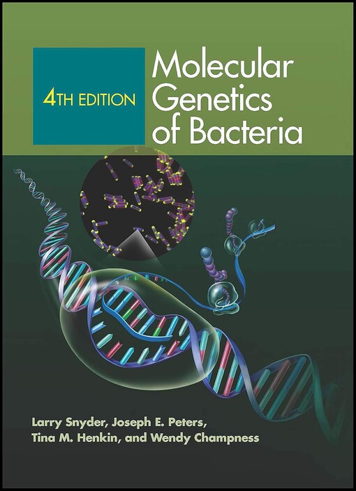 Molecular genetics of bacteria