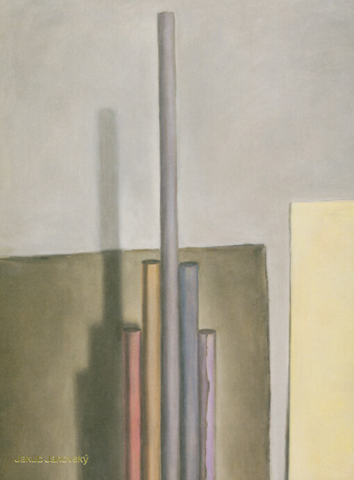 Jakub Janovský : dům z karet = house of cards