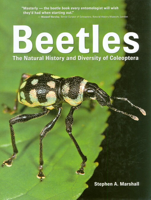 Beetles : the natural history and diversity of coleoptera