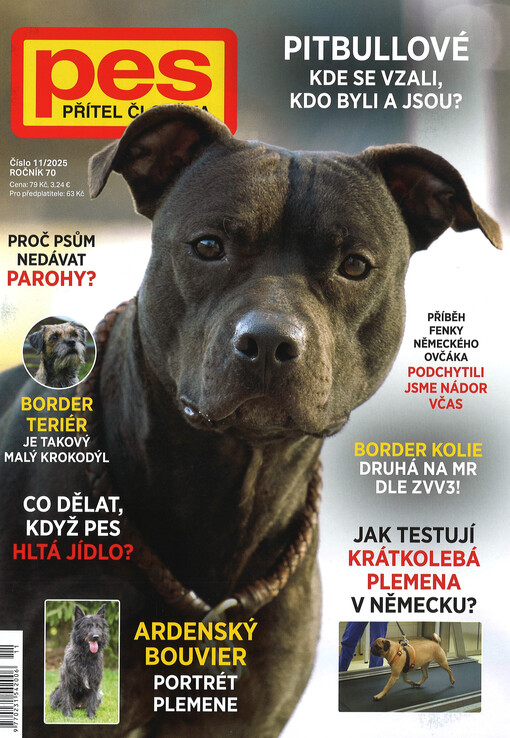Pes přítel člověka : časopis pro chov a výcvik psů všech plemen